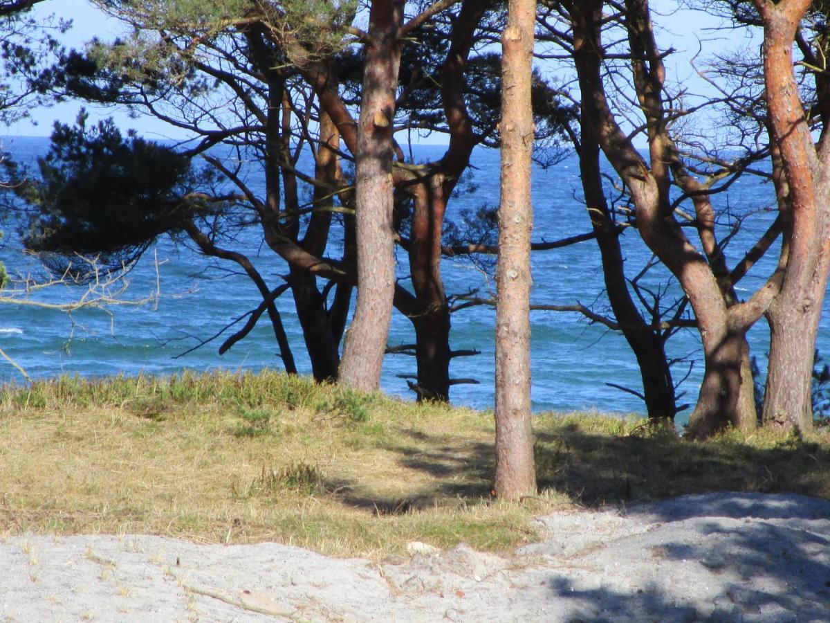 Strandapartment Kapitaen Prora Остзебад Бинц Екстериор снимка
